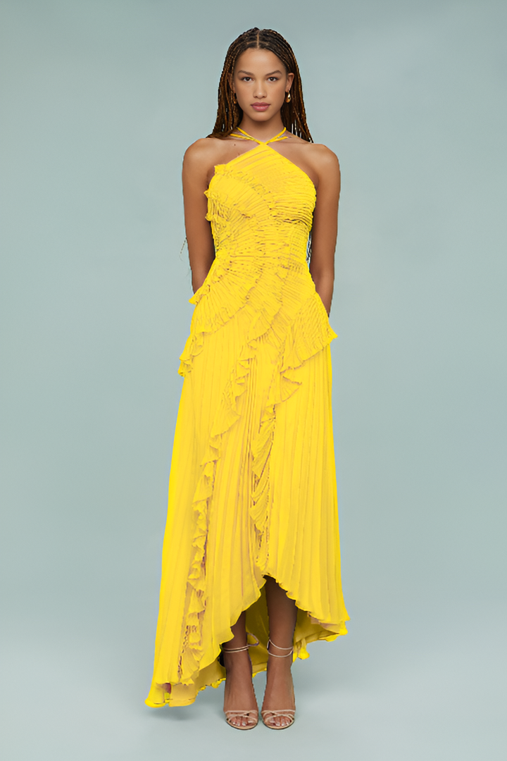 Amelia | Pleated Halter Maxi Dress