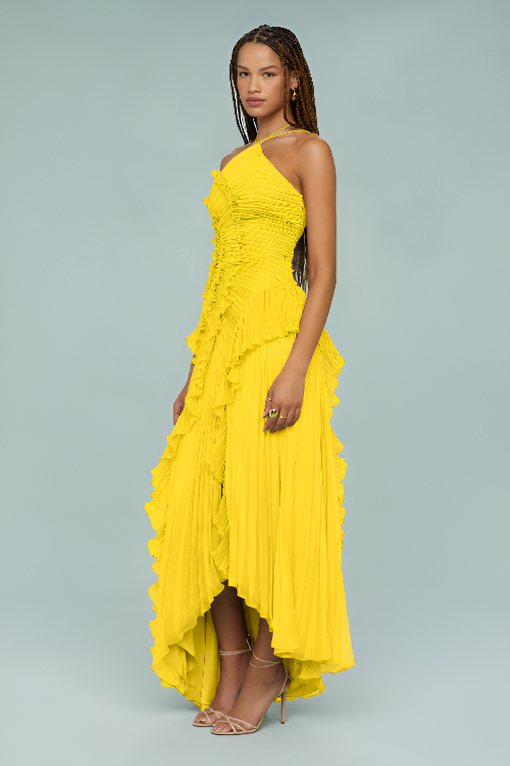 Amelia | Pleated Halter Maxi Dress